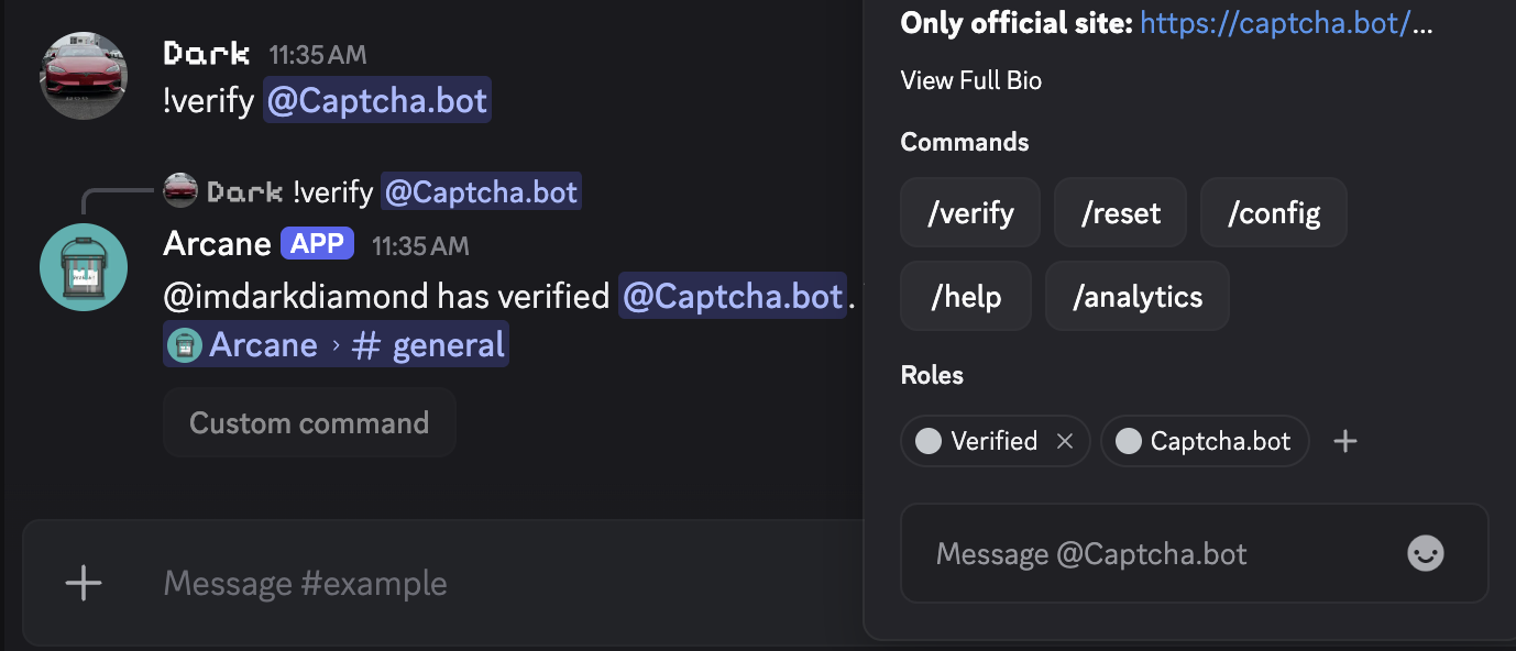 Verify target command example